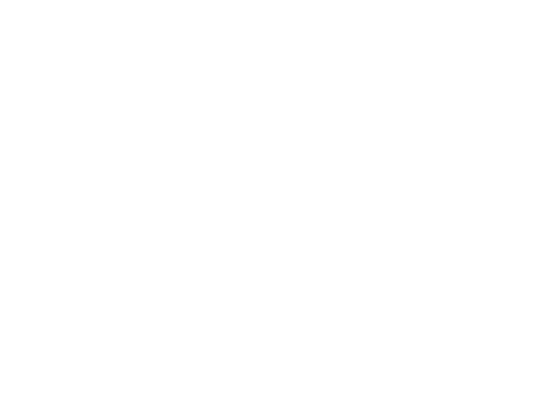 BA Marlborough